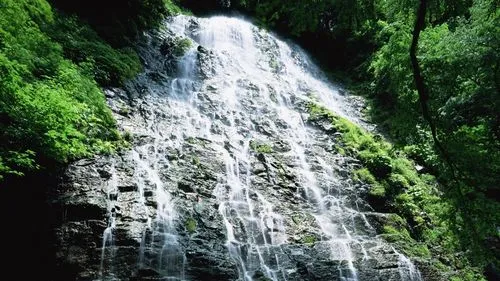 高端可靠性科技